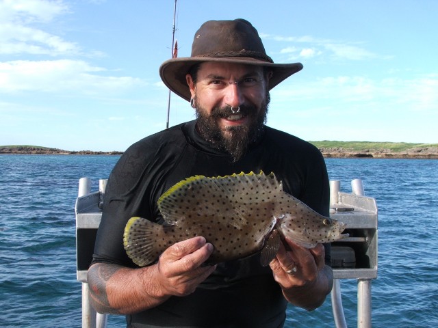 Barramundi Cod